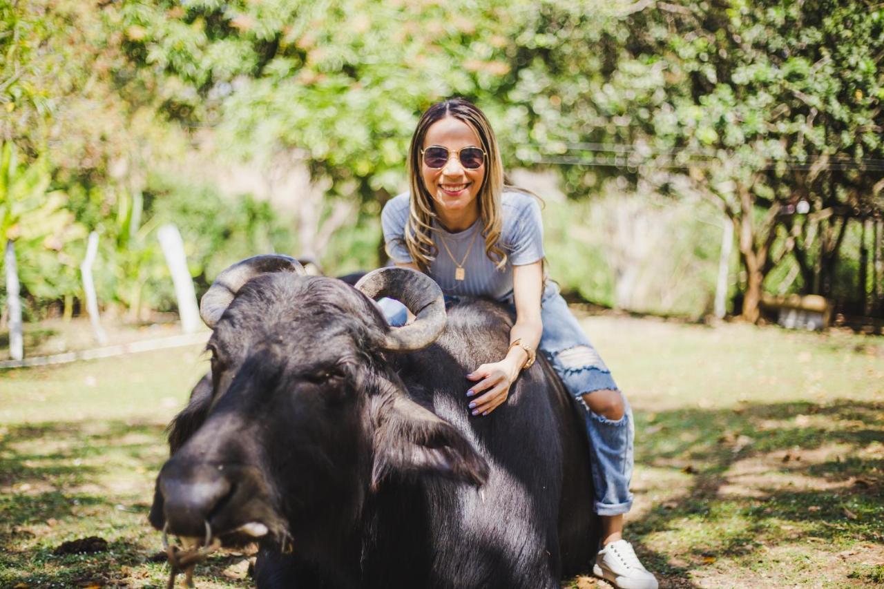 Eco Hotel Villa Martha Turbaco Luaran gambar